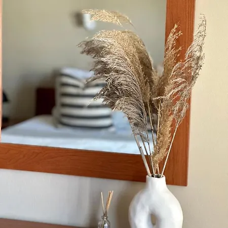 House No 10 Apartment