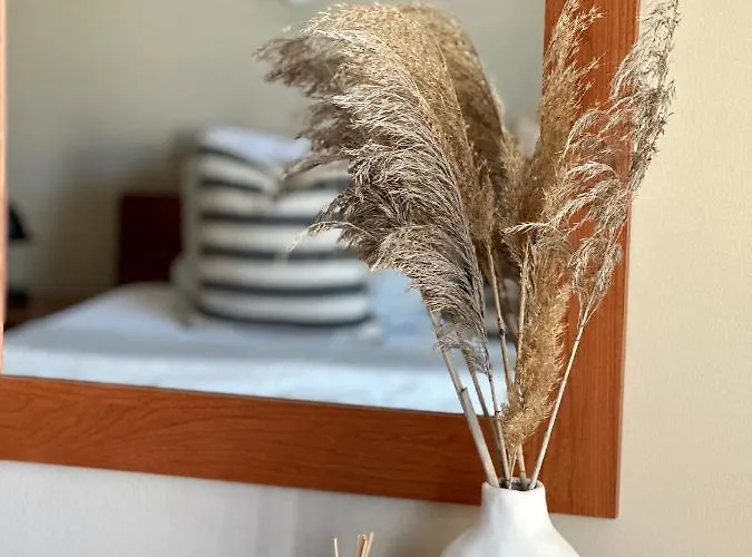 House No 10 דירה