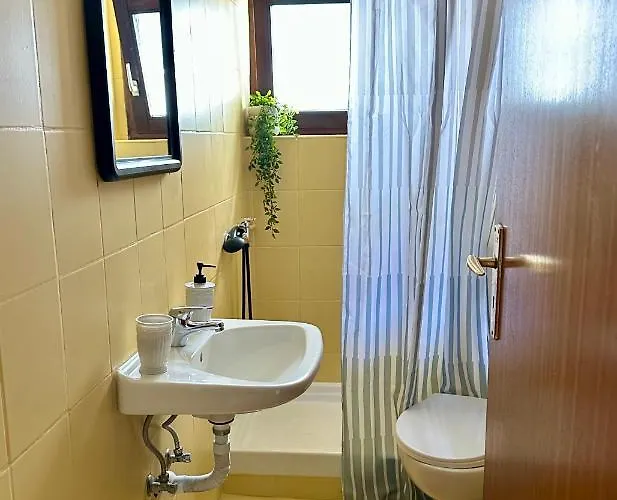 House No 10 דירה *